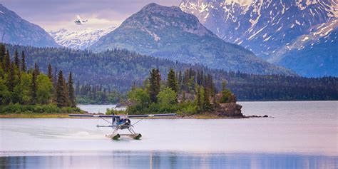 About Airliners.net & Our Aviation Community .